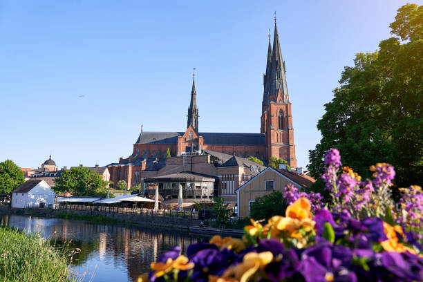 belle vue sur la cathédrale d’uppsala et la rivière fyris à uppsala, suède - uppsala cathedral photos et images de collection