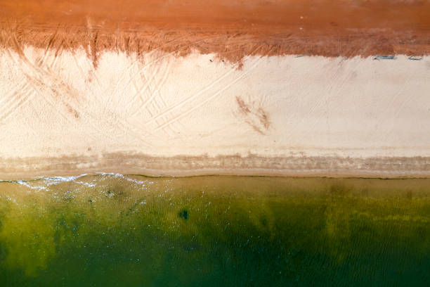 istock Transition from dark river water to yellow sand and red soil 1608191802