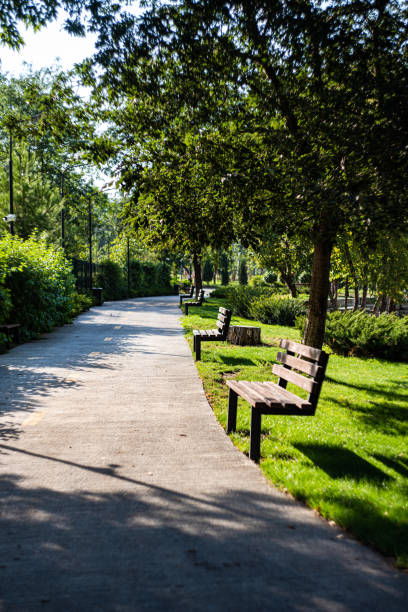 istock Famous Tbilisi park Mziuri 1608196122