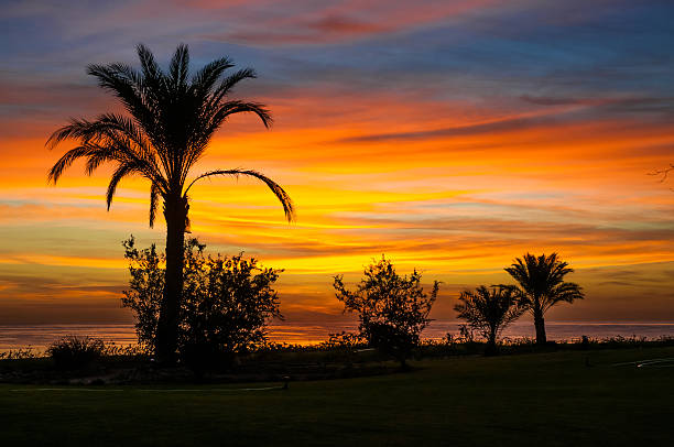istock Sunrise on the Red Sea 160821674