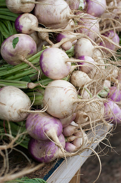 Freshly picked Onions stock photo