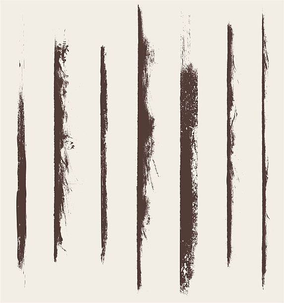 grunge lines collection collection of grunge lines and borders dirty stock illustrations