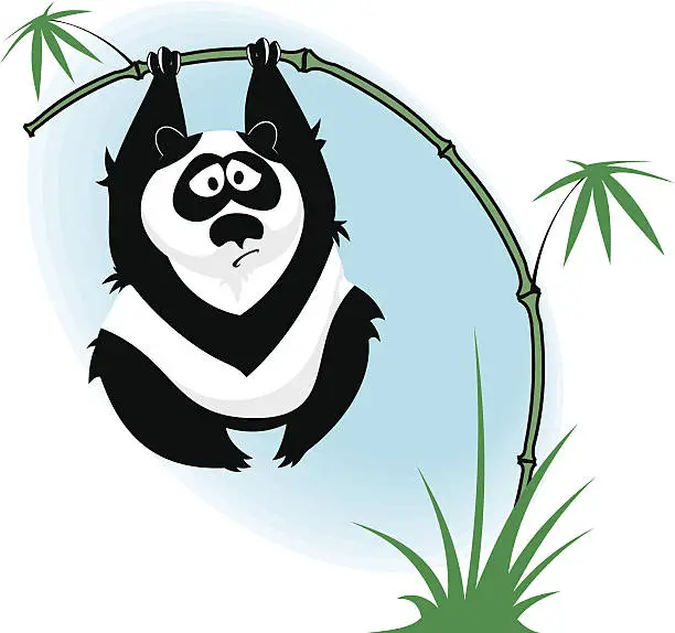 Vector illustration of Panda on the bamboo