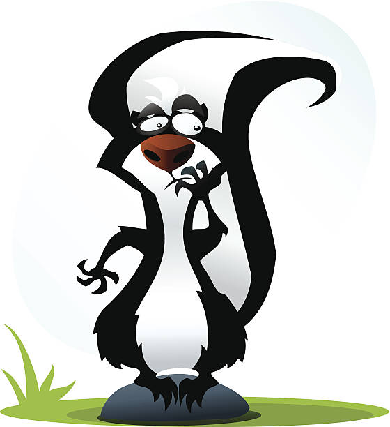 śmieszna skunk - skunk stock illustrations