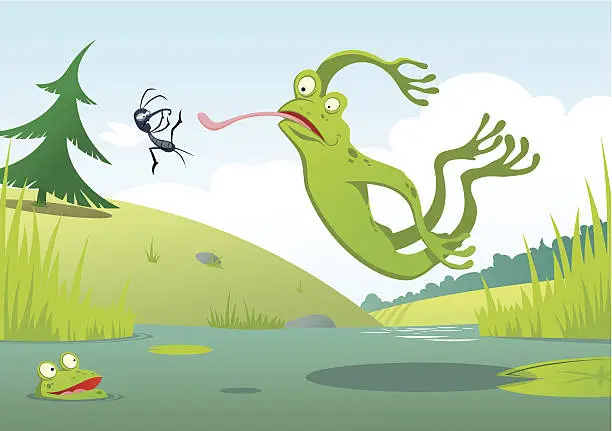 Vector illustration of Jumping Frog