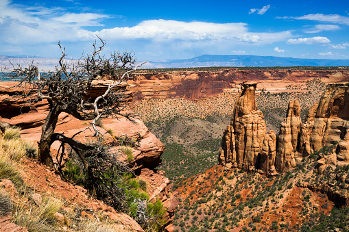 Kissing Couple in Monument Canyon at Colorado National Monument in Colorado, USA.