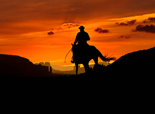 Cowboy rides into the night Cowboy is riding through a valley in the night. Composition of two images. elbe valley stock pictures, royalty-free photos & images