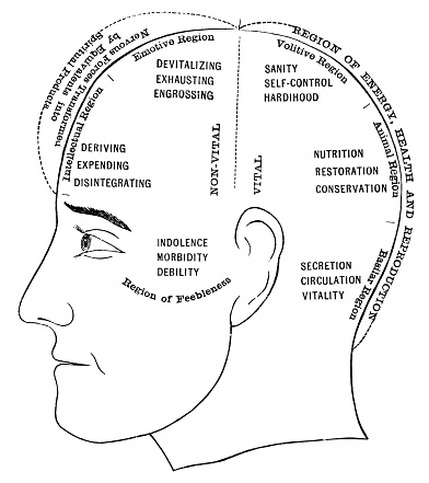 Phrenology diagram of mental traits and temperaments by region. Vintage etching circa 19th century.