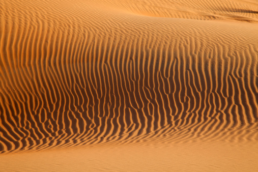 Desert sand dunes, United Arab Emirates