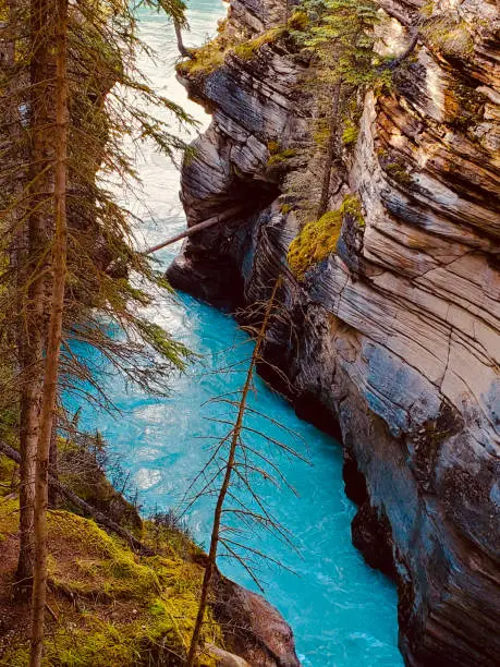 Photo of Athabasca falls