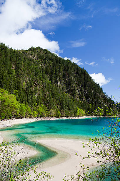 panda lago en jiuzhaigou, sichuan, china - jiuzhaigou national park jiuzhaigou national park unesco world heritage site fotografías e imágenes de stock