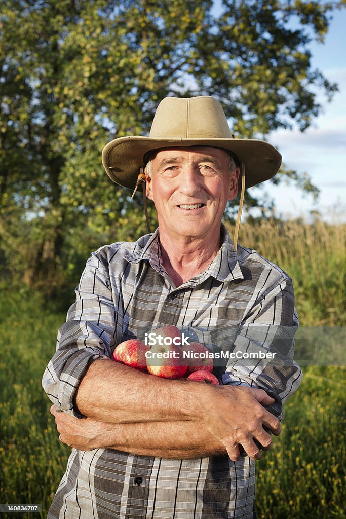 Sênior agricultor com maçãs orgânicas em seus braços - Foto de stock de Agricultor royalty-free