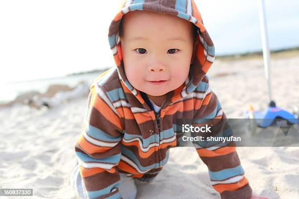 Bebê De Outono - Fotografias de stock e mais imagens de 12-15 Meses - 12-15 Meses, 12-23 Meses, Ao Ar Livre