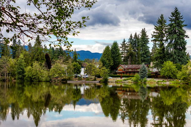 istock Forest lake in Coquitlam City 1608374981