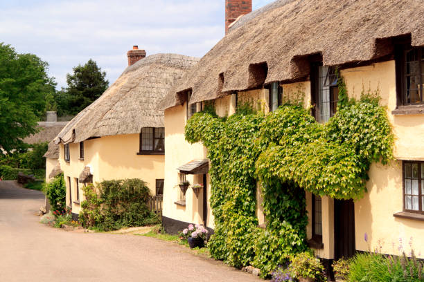 istock Traditional English thatched cottages in Dorset 160837743