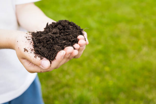 istock boy holding a handful of earth 1608419056