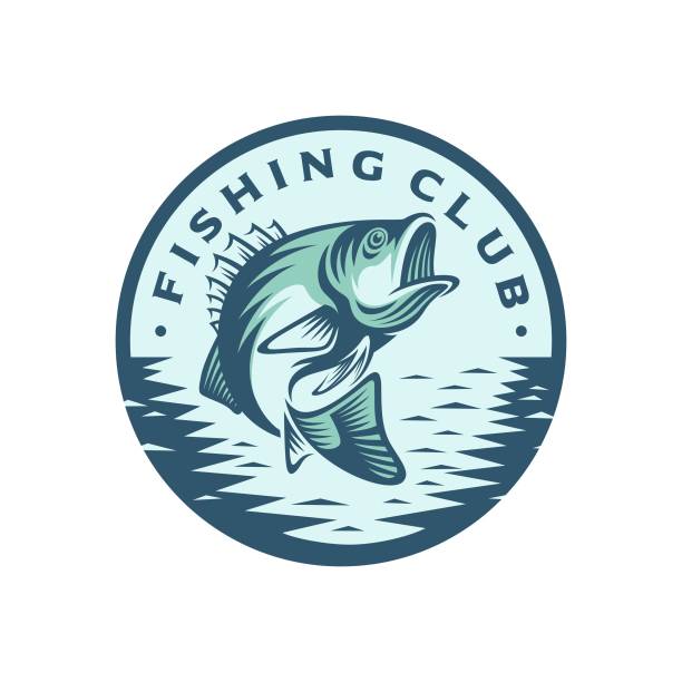 illustrazioni stock, clip art, cartoni animati e icone di tendenza di modello per logo di pesce spigola - fish catch of fish seafood red snapper