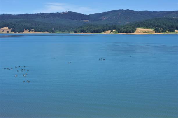 istock View across a lake in summer 1608542722