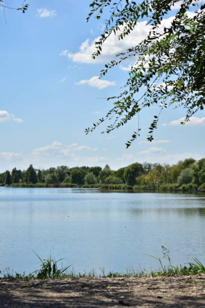istock Landscape of a river scenery on a sunny day. 1608544928
