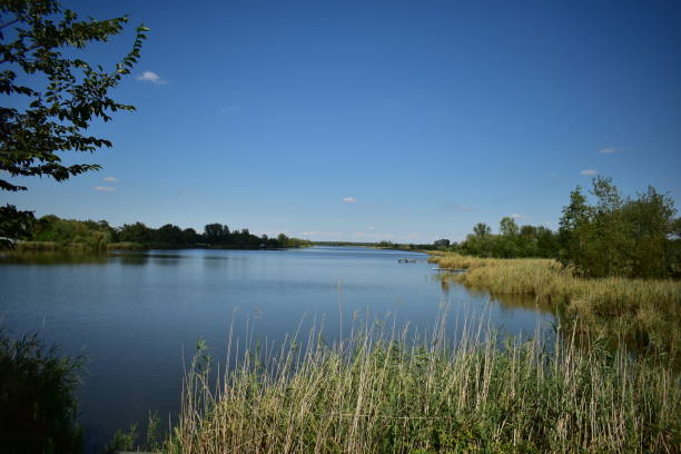 istock Landscape of a river scenery on a sunny day. 1608544931