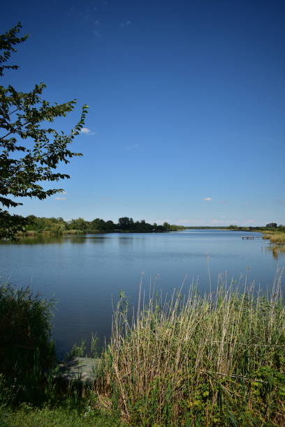 istock Landscape of a river scenery on a sunny day. 1608544936