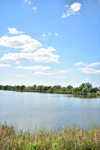istock Landscape of a river scenery on a sunny day. 1608544944