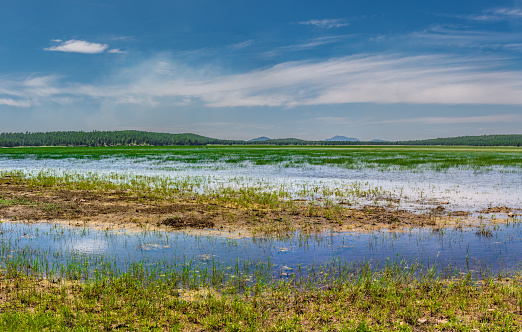 Many of the lakes in Northern Arizona are ephemeral bodies of water.  This means that during dry spells these lakes are completely empty of water and often turn into meadows of grasses and wildflowers.  This picture of Rogers Lake shows abundant water after an unusually heavy spring runoff.  Rogers Lake is west of Flagstaff, Arizona, USA.