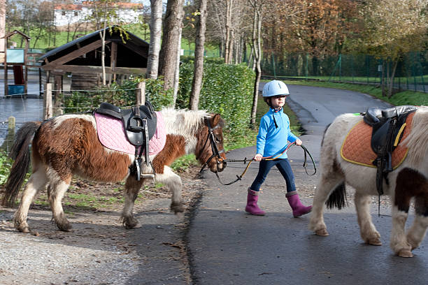 4 years old girl leading a pony shetland in her first horse riding lesson. Some blur for the movement.
