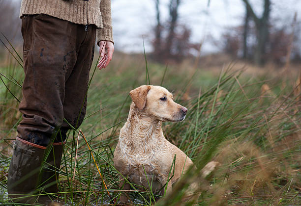 Hunter with a hunting dog Hunting dog sits near the foot of the hunter animals hunting stock pictures, royalty-free photos & images