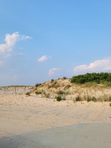 A dune covered in beach grasses sits under a sky of fluffy clouds