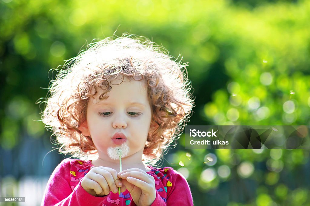 Belle petite fille Frisée souffle pissenlit - Photo de Activité libre de droits