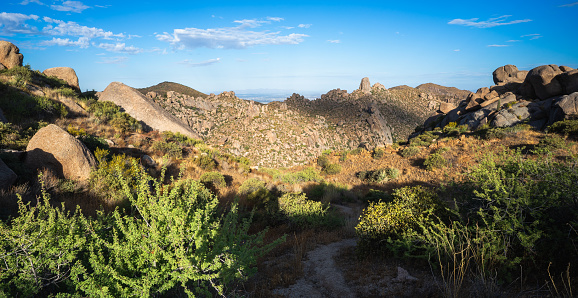 Mesquite trees and boulders hold morning light in a pleasant view of Tom's Thumb in McDowell Mountains