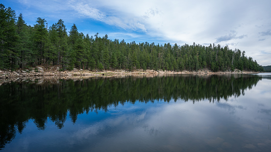 Knoll Lake reflects ponderosa pines on a peaceful morning near the Mogollon Rim