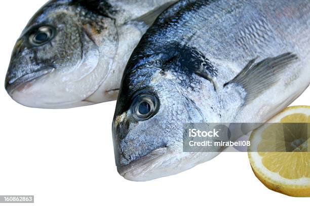 Cabeza Dorada Foto de stock y más banco de imágenes de Alimento - Alimento, Arreglar, Azul