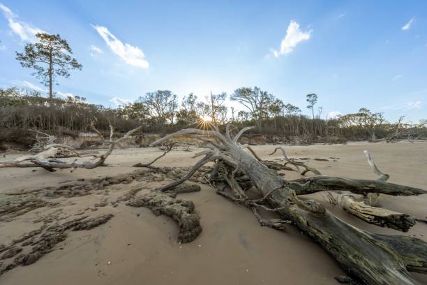 istock Sunset on Boneyard Beach 1608695513