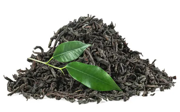 Heap of dry black Ceylon tea and fresh tea leaves isolated on a white background. Dry and fresh tea leaves.