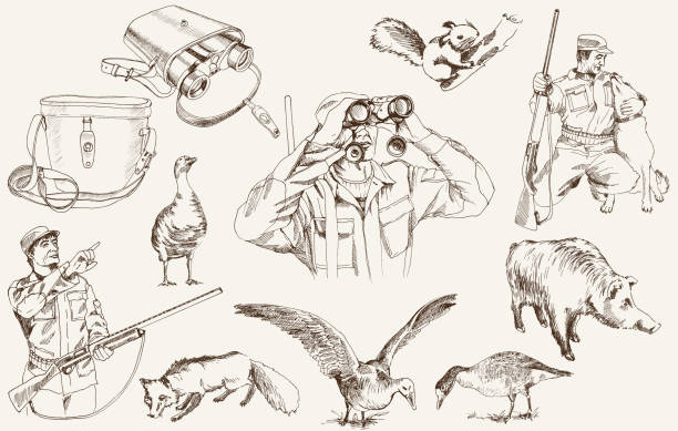 Sketches Of Geese Foxes Binoculars And Hunters With Rifles Stock  Illustration - Download Image Now - iStock