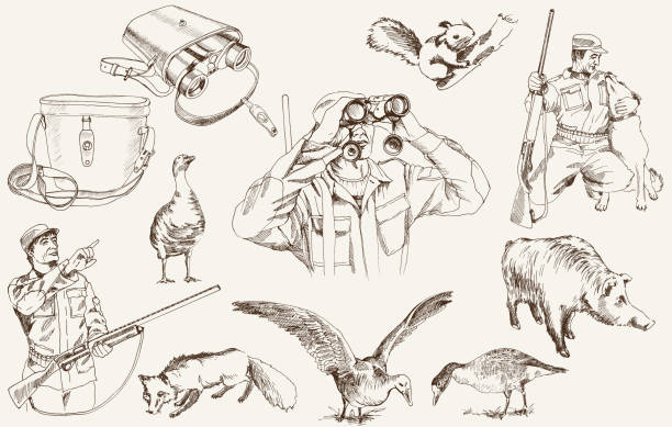 Sketches Of Geese Foxes Binoculars And Hunters With Rifles Stock Illustration - Download Image Now - iStock Sketches Of Geese Foxes Binoculars And Hunters With Rifles Stock Illustration - Download Image Now - iStock