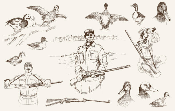 hunting Compilation of vector illustrations of hunter while hunting hunting stock illustrations