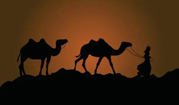 Vector illustration of Camels & wanderer in desert