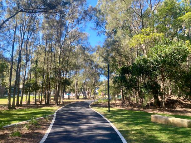 Tree Lined Park Walking Path stock photo
