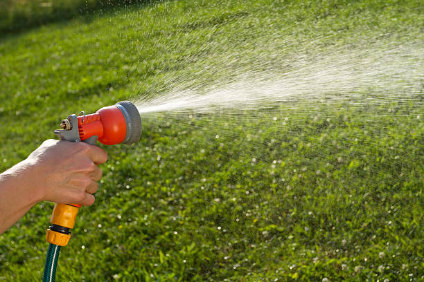 istock Watering the lawn, close-up 160879617
