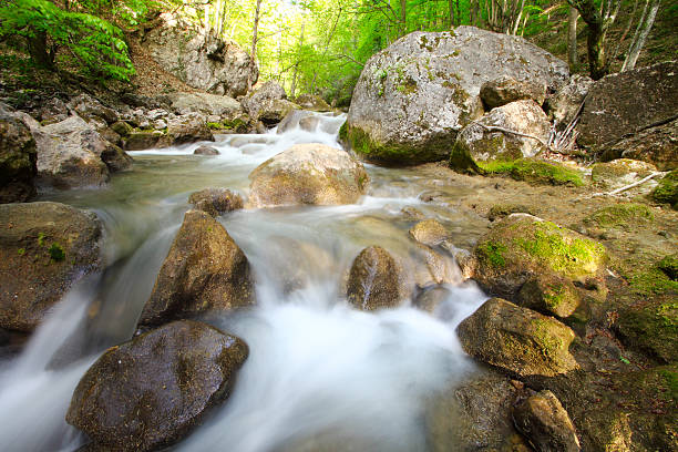 The mountain river in gorge with a spring stock photo