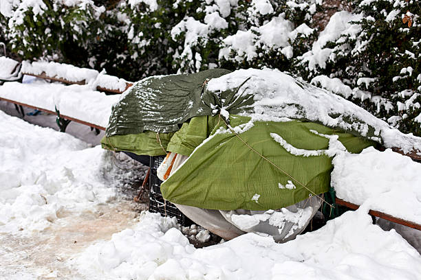 Roost of homeless people in winter Roost of some homeless people on the bench of a public park. tramp home stock pictures, royalty-free photos & images