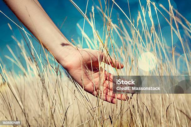 Hand In Autumn Grass Stock Photo - Download Image Now - Above, Agricultural Field, Autumn