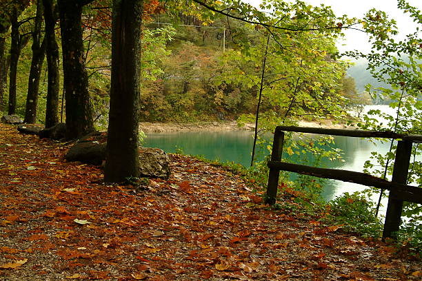 Lago di Ledro - foto stock