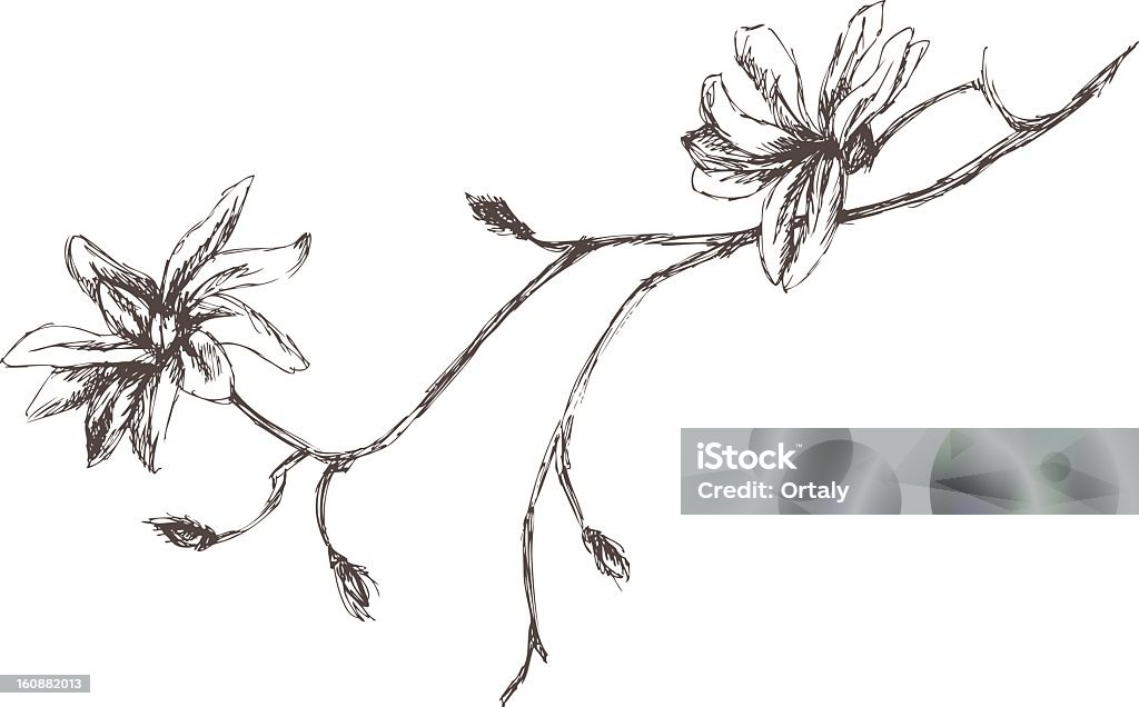 Flowers on a tree branch - Векторная графика Ботаника роялти-фри