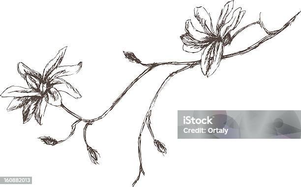 Flowers On A Tree Branch — стоковая векторная графика и другие изображения на тему Ботаника - Ботаника, Ремесло, Почка - стадия развития растения