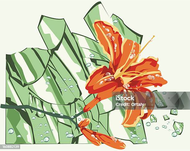 Flower On The Glass Stock Illustration - Download Image Now - Flower, Glass - Material, Part Of