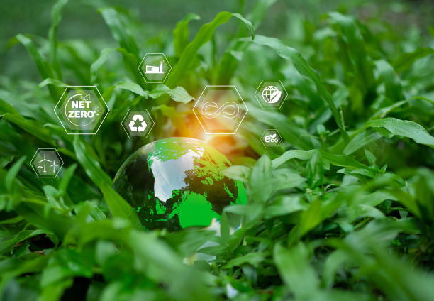 istock CO2 emission reduction concept, clean and friendly environment without carbon dioxide emissions. Planting trees to reduce CO2 emissions, environmental protection concept. 1608824527